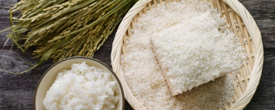 米粉シリーズ｜食品 – 公式オンラインショップ｜EDISONmama（エジソン