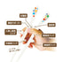 【入園~小学校低学年】エジソンのお箸KID’S 右手用 入園から小学校低学年まで使えるお箸