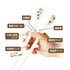 【入園~小学校低学年】エジソンのお箸KID’S 左手用 入園から小学校低学年まで使えるお箸