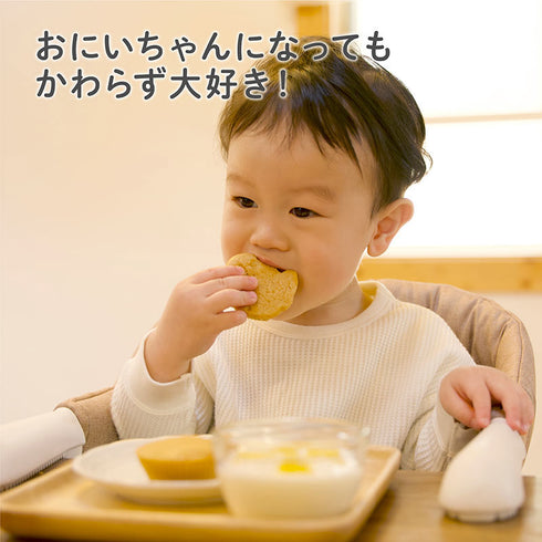 【9ヶ月ごろ~】きなこ蒸しぱんミックス プレーン 手づかみ食べにぴったりなきなこのおやつ