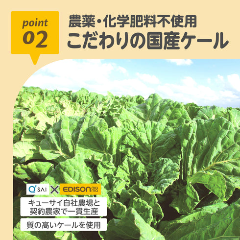 【お試し10g】ケールプロテイン ピュアルン 妊活中・マタニティ期の栄養補給に|国産ケール100%・葉酸・鉄配合・甘くて飲みやすい抹茶風味