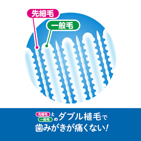 仕上げ歯ブラシ 優しくしっかり磨ける2本入りの歯ブラシ