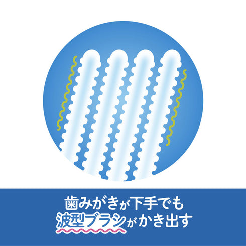 仕上げ歯ブラシ 優しくしっかり磨ける2本入りの歯ブラシ