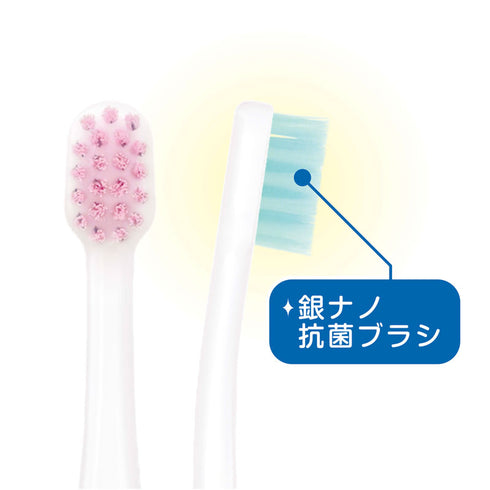 仕上げ歯ブラシ 優しくしっかり磨ける2本入りの歯ブラシ