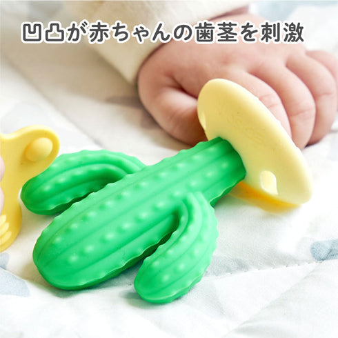 カミカミBaby サボテン でこぼこが特徴な歯がため
