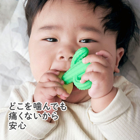 カミカミBaby サボテン でこぼこが特徴な歯がため