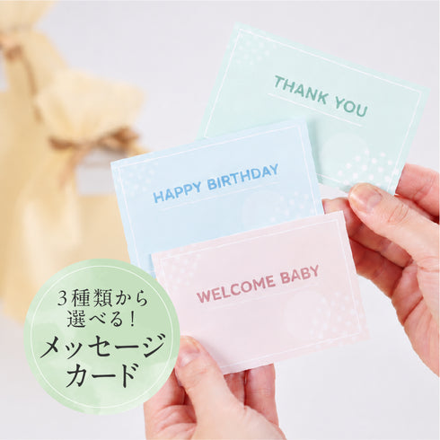 【送料無料】はじめてのお世話セット ライト 出産祝い ベビーギフト メッセージカード付