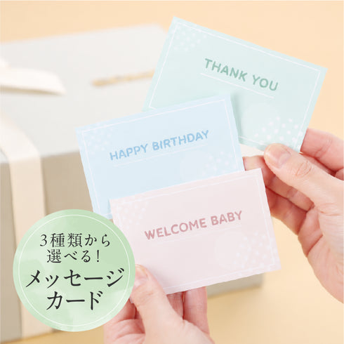 【送料無料】はじめてのお世話セット プレミアム 出産祝い ベビーギフト メッセージカード付