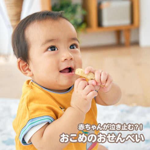 【送料無料】離乳食スタートセット 初めての離乳食作りに便利な食品とグッズの8点セット 公式限定