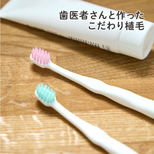 仕上げ歯ブラシ　優しくしっかり磨ける2本入りの歯ブラシ