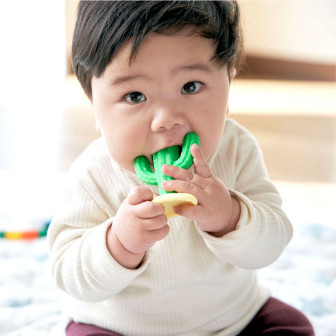 カミカミBaby　サボテン　でこぼこが特徴な歯がため
