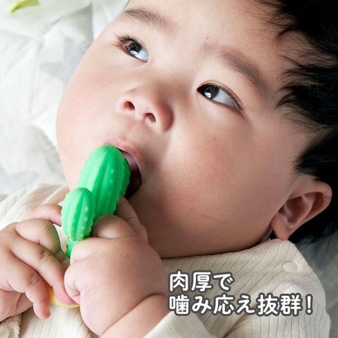カミカミBaby　サボテン　でこぼこが特徴な歯がため