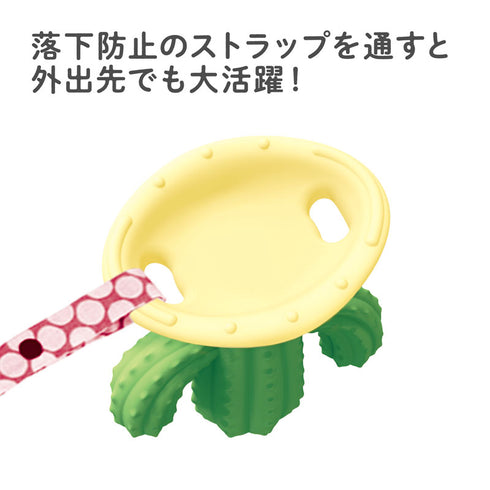 カミカミBaby　サボテン　でこぼこが特徴な歯がため