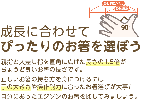 成長に合わせて選ぼう! 親指と人差し指を直角に広げた長さの1.5倍がちょうど良いお箸の長さです。