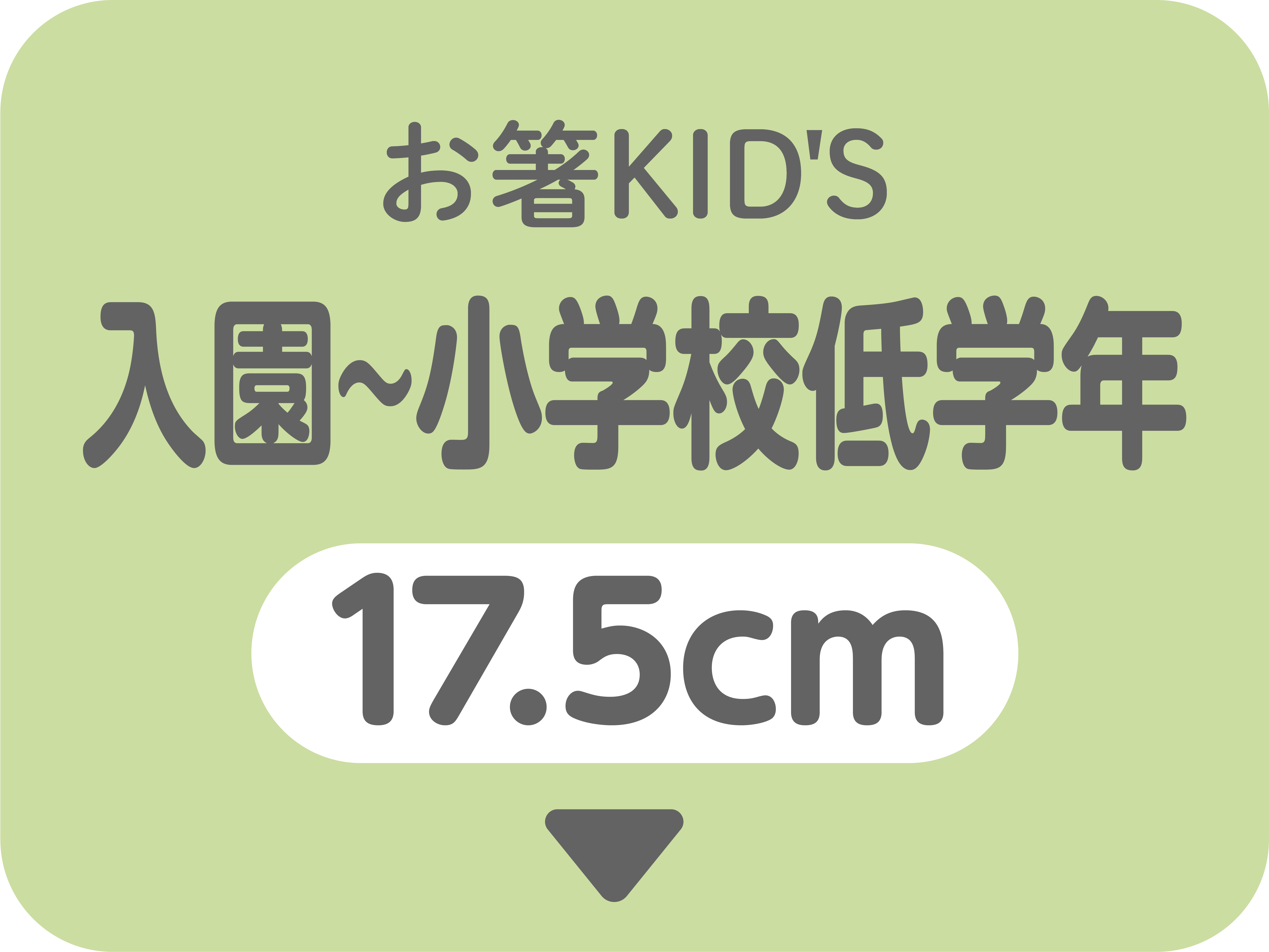 お箸KID'S 17.5cm