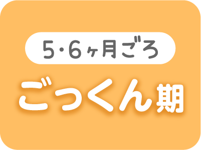 ごっくん期(5〜6ヶ月ごろ)