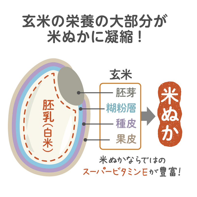 成長を支える栄養がたっぷり